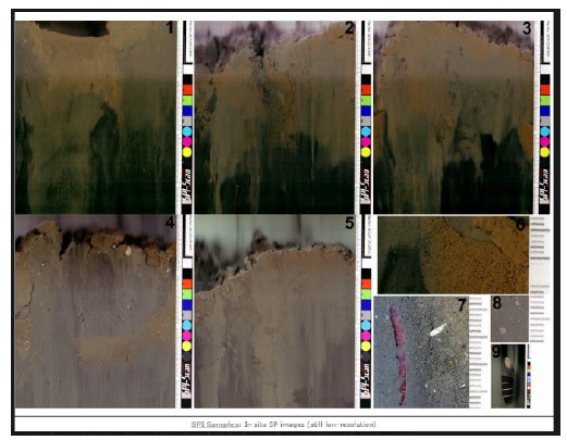 Figure 6: Example sediment profile images from Benthic Science Limited's SPI-Scan Surveyor. 