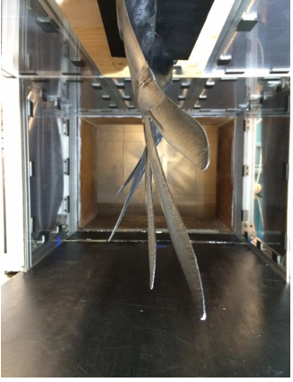 Figure 23. Final aerodynamic test model mounted in the Cal Poly low speed wind tunnel. Rear view.