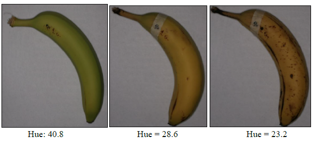 Figure 7: Hue change in a banana over its life-time.