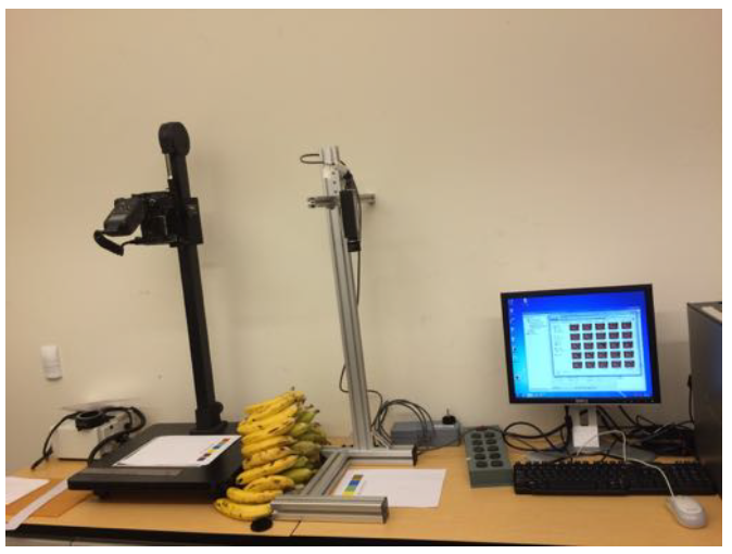 Figure 8: Experimental procedure set-up.